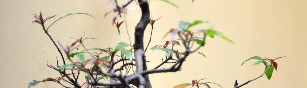 Bailiesmills Reformed Presbyterian Church